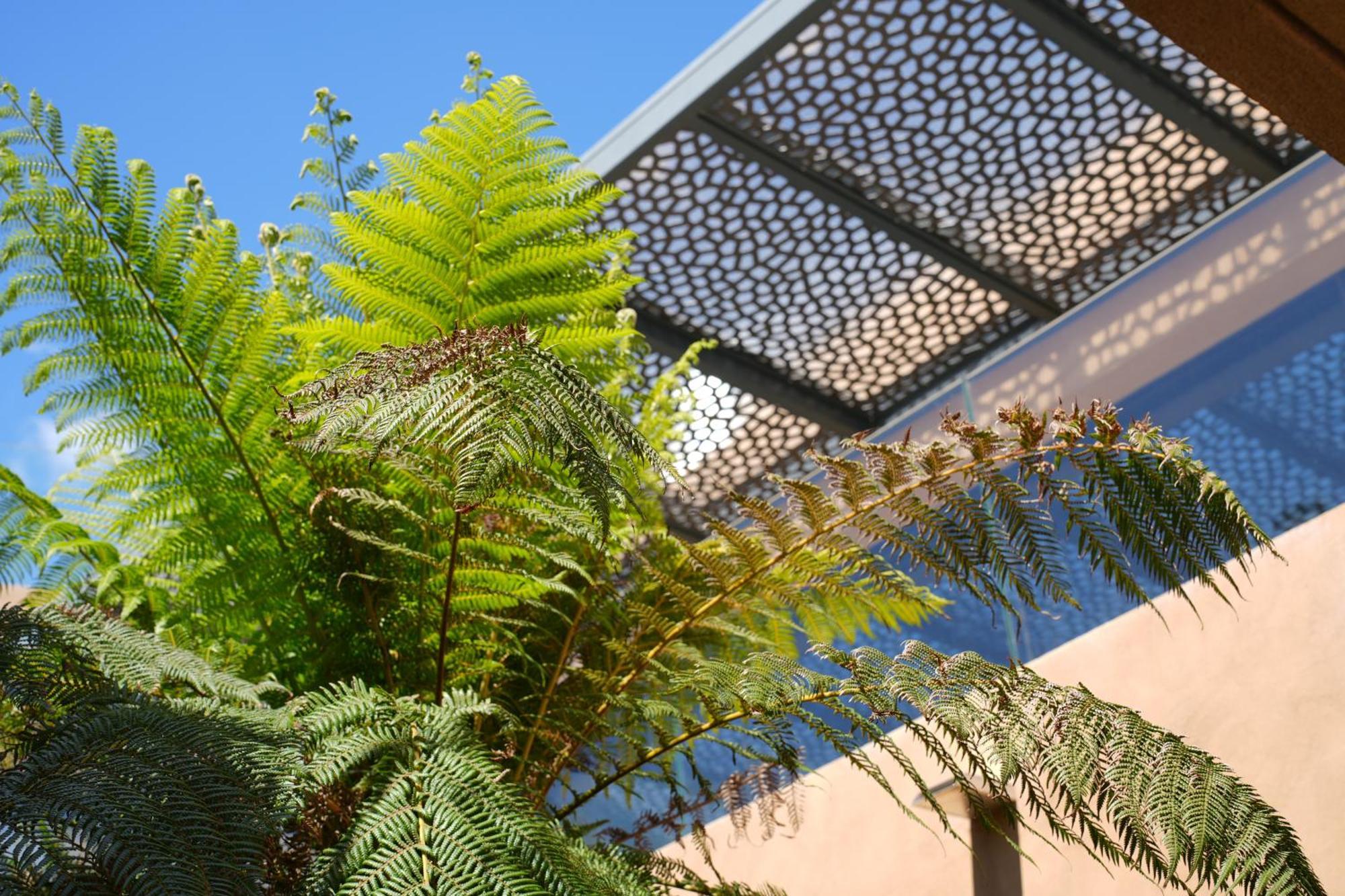 Les Regalia Hotel & Spa Sainte-Lucie de Porto-Vecchio Exteriér fotografie